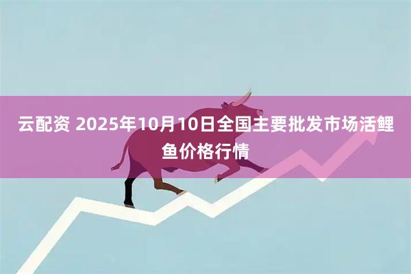 云配资 2025年10月10日全国主要批发市场活鲤鱼价格行情