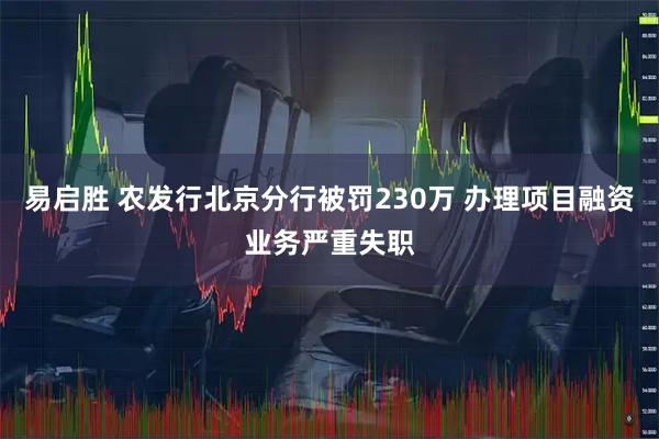 易启胜 农发行北京分行被罚230万 办理项目融资业务严重失职