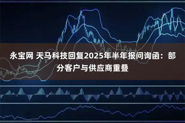 永宝网 天马科技回复2025年半年报问询函：部分客户与供应商重叠